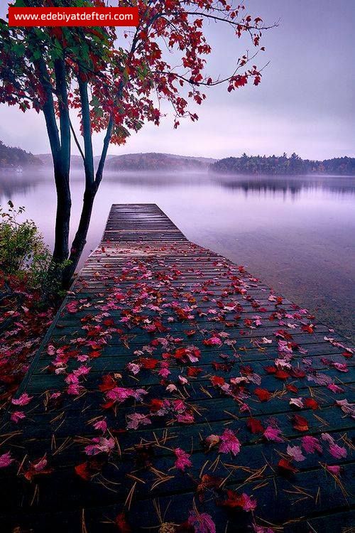 MÜEBBET BİR HÜZÜNDÜ HÜKMÜN