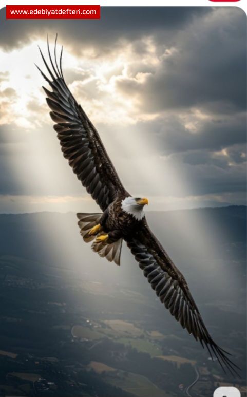 Bekleme O Kuşu Kafesten Uçtu