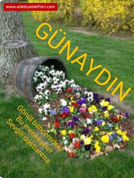Baharla gelen gzellik