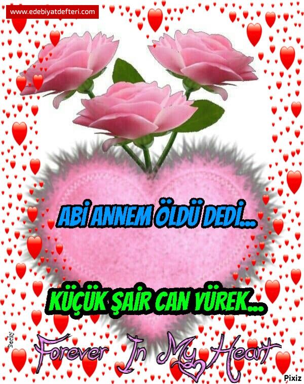ABİ ANNEM ÖLDÜ DEDİ