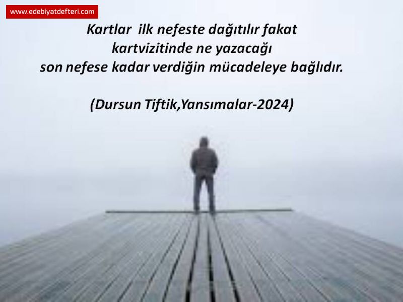 NSANLIIN MELTEMS LMLER ZLEMES