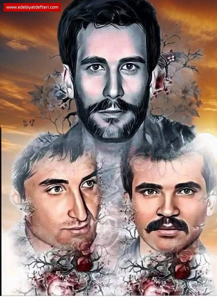 DARAACINDA  FDAN