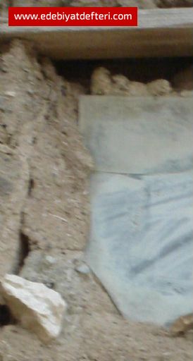 KYDE BAHAR (1)