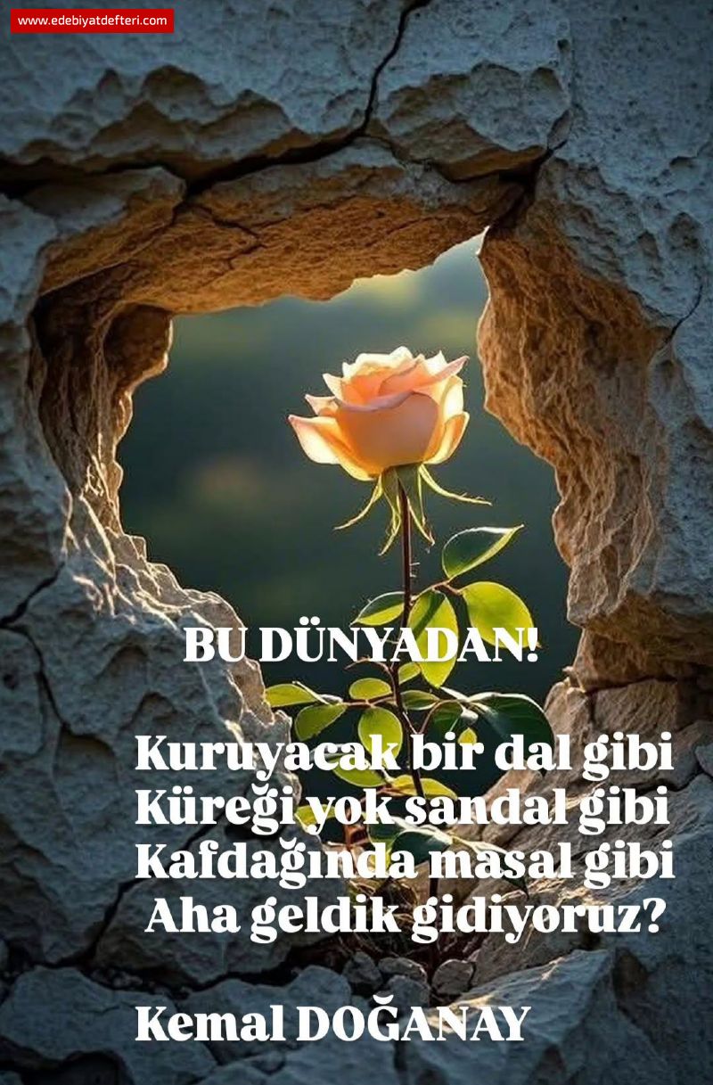 KULLAR MEVLAYA GİDER