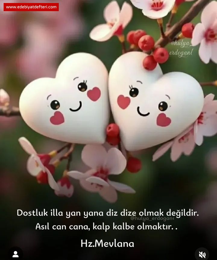 BİR VE TEKTANE ( Ablalarıma )