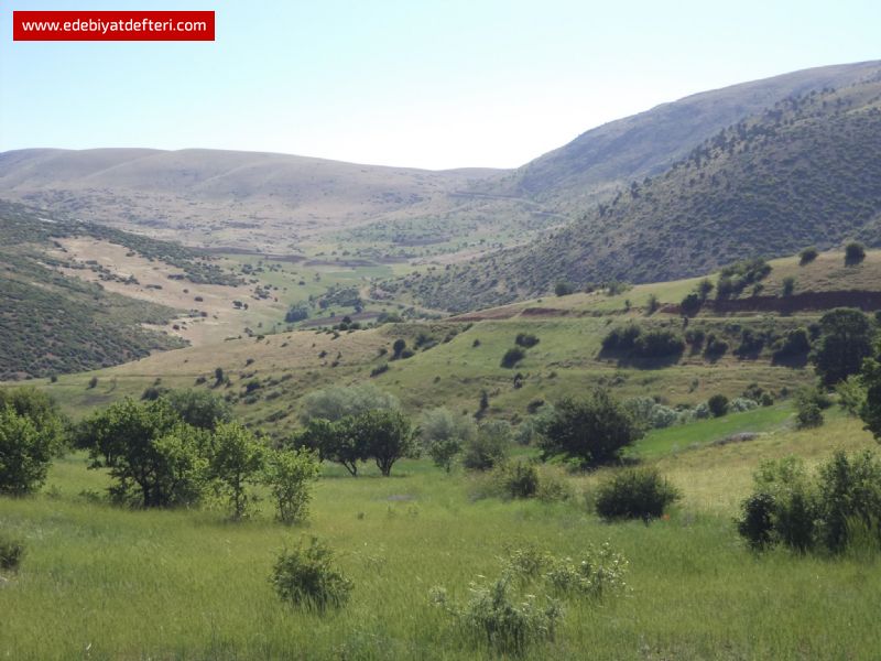 Kyde Bahar (4)