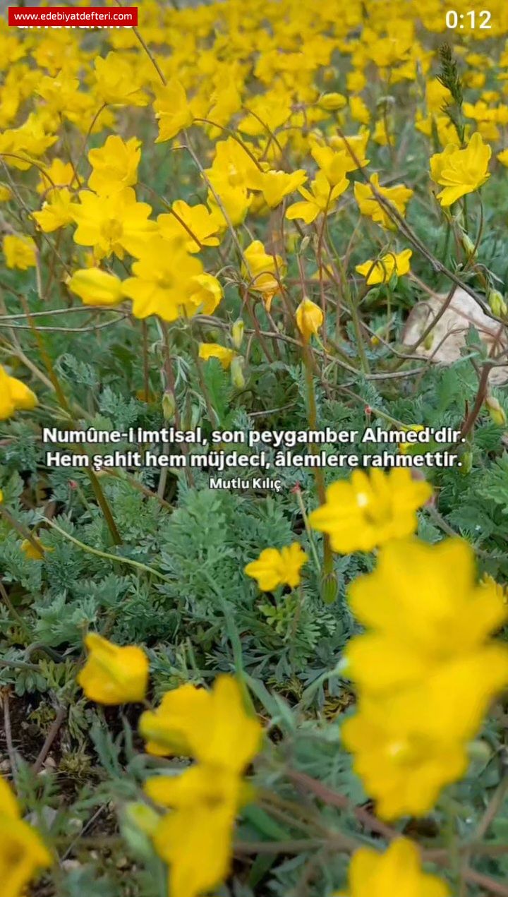 Rahmettir