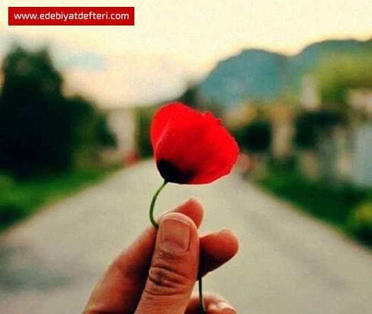 Yol'u tut