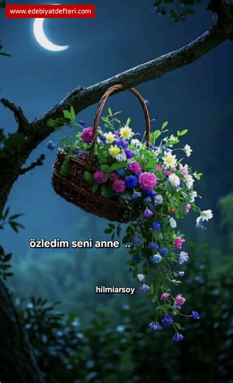 zledim seni anne