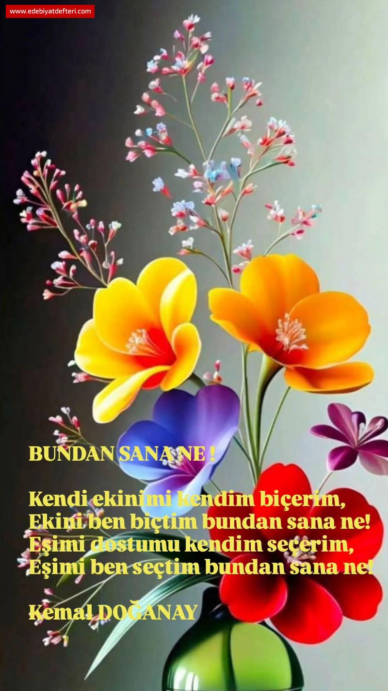 BUNDAN SANA NE