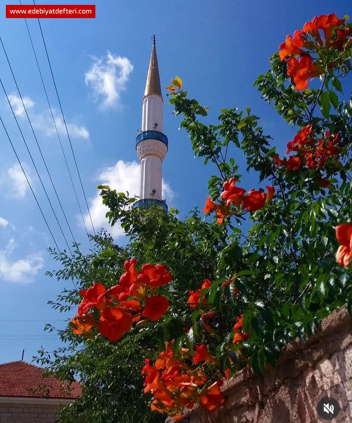 ASLI MI UNUTMADIM BEN