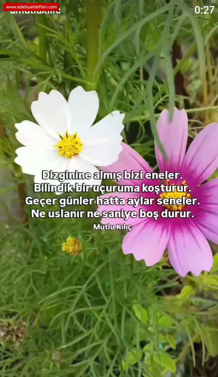 Eneler