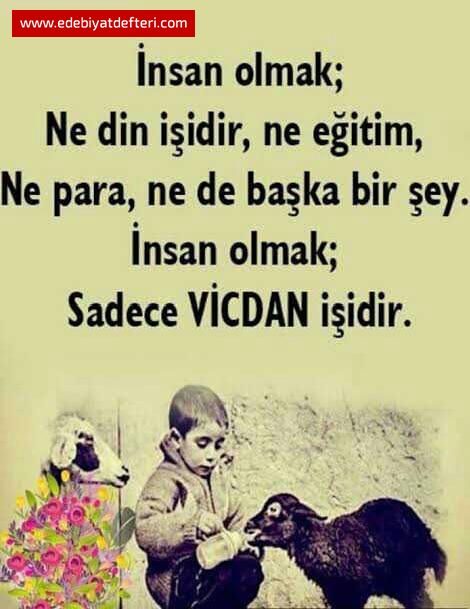 NSAN