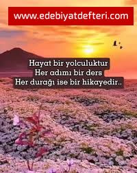 DNENCE