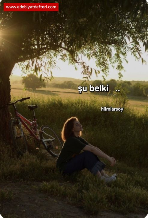 u belki