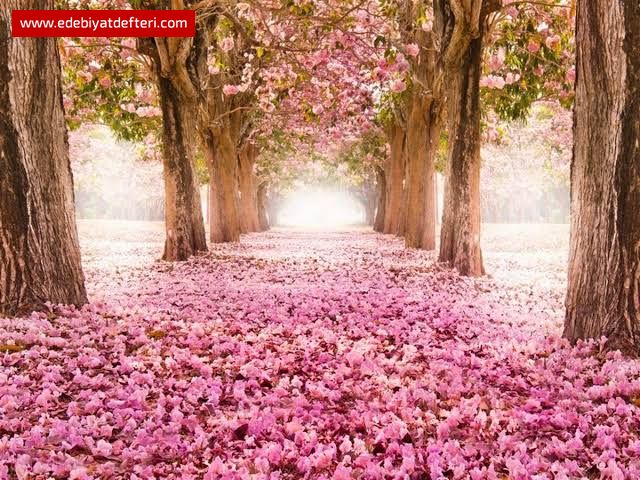 Yollar Sana Çıksa Keşke