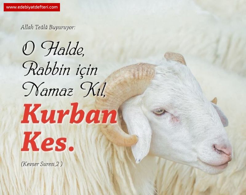 Adanmlk  ve Teslimiyet