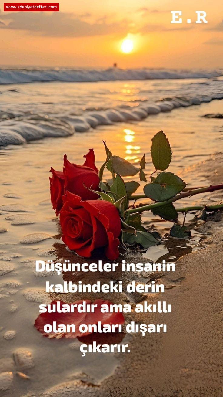 ... VE DURGUN AKAR ÖMÜRLER