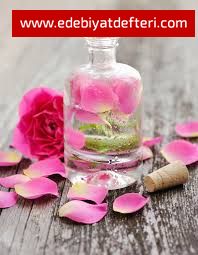 GÜL SUYU İLE GELEN NEDAMET