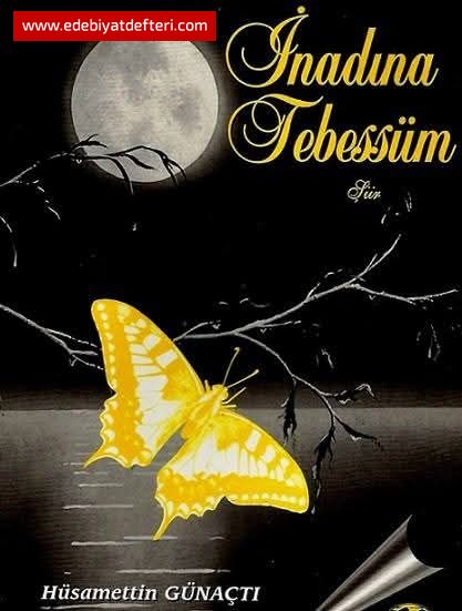 NADINA TEBESSM-2-