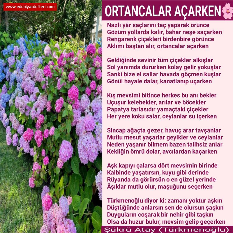 ORTANCALAR AÇARKEN 🌸