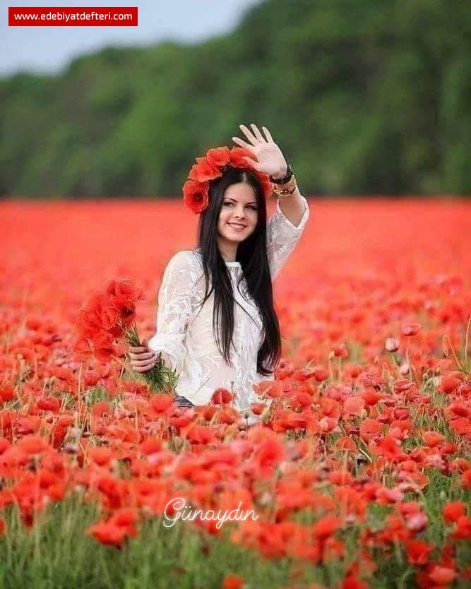iekli yolculuk