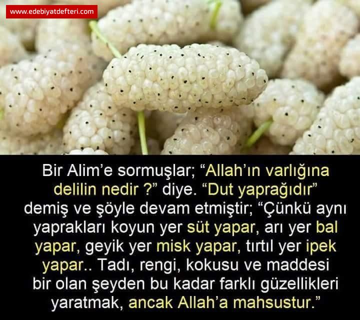 ALİMİN BİRİ ÇOK GÜZEL CEVAP VERMİŞ...