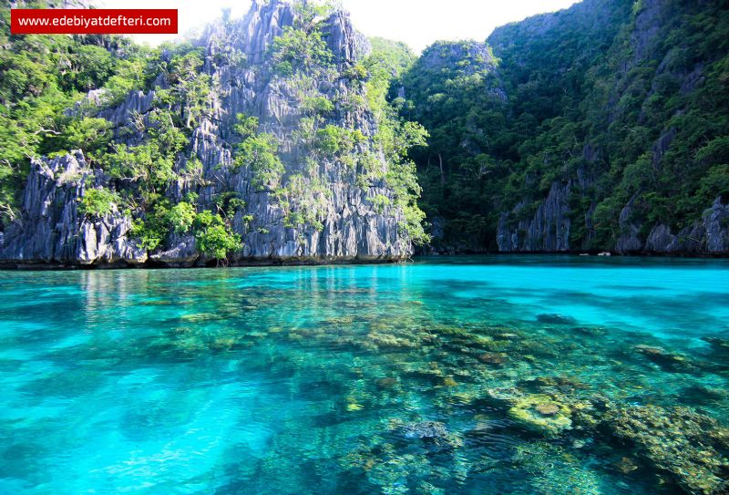 Senin Yürüyüşündür Sonsuzu Aşan