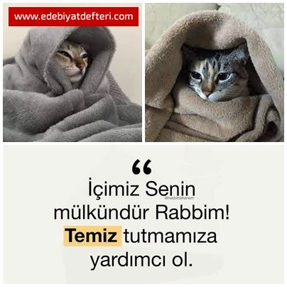 imiz Tertemiz