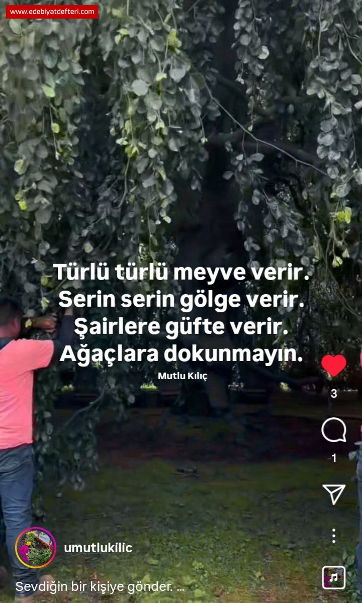 Aalara Dokunmayn
