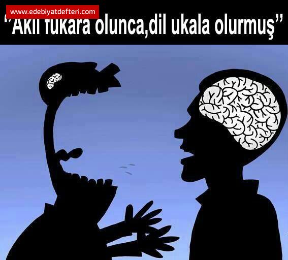 SENN EEN KANCIK OLSUN