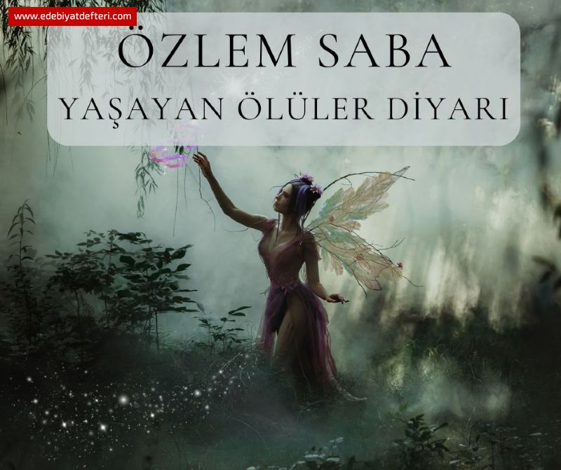 YAAYAN LLER DYARI