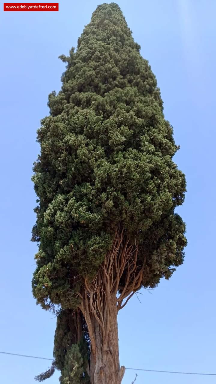 yarınlar
