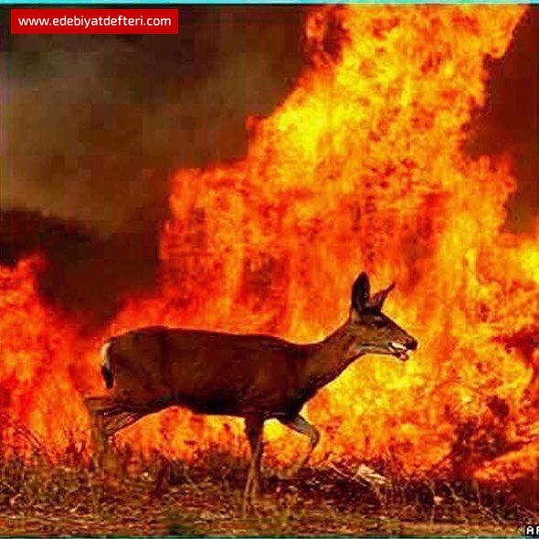 yakanlar da yanacak bir gün