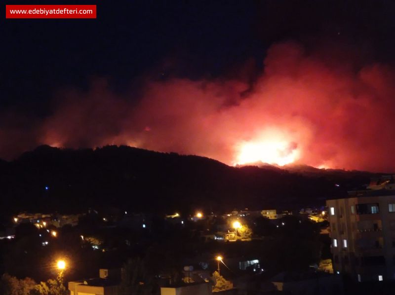 YANIYOR ARKADALAR!