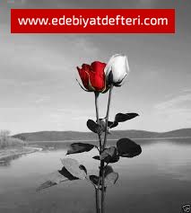 Gn Gelir