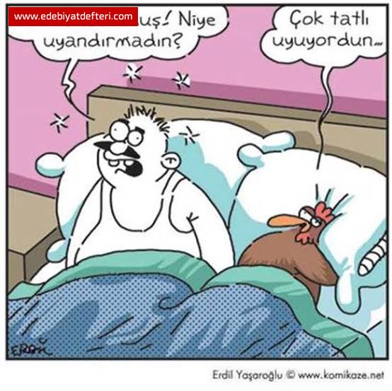 HANN PLNI VAR, APTALIN DA YALANI
