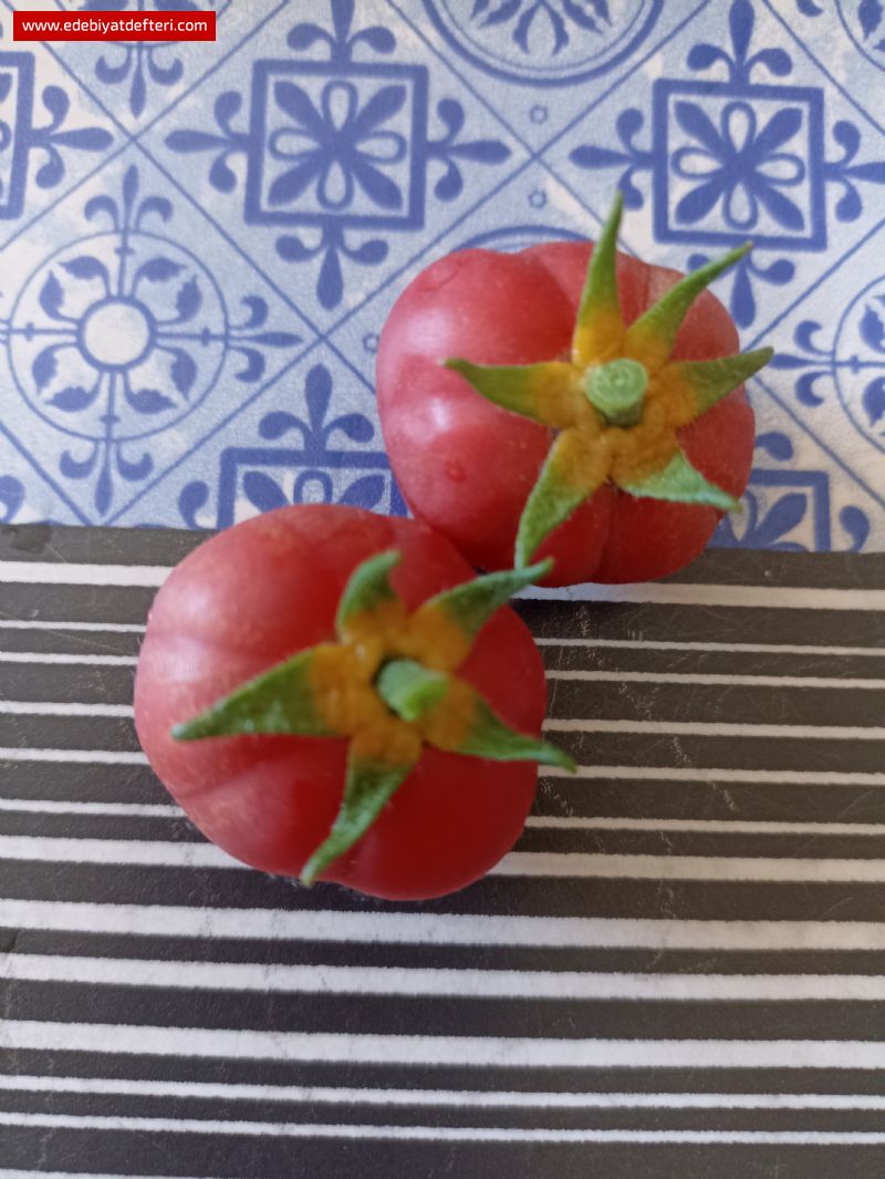 Ketap Lekesi