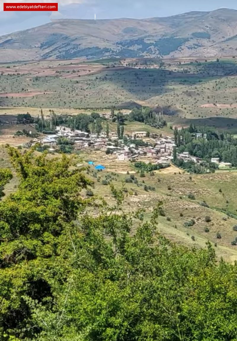 BZM KYLERDE