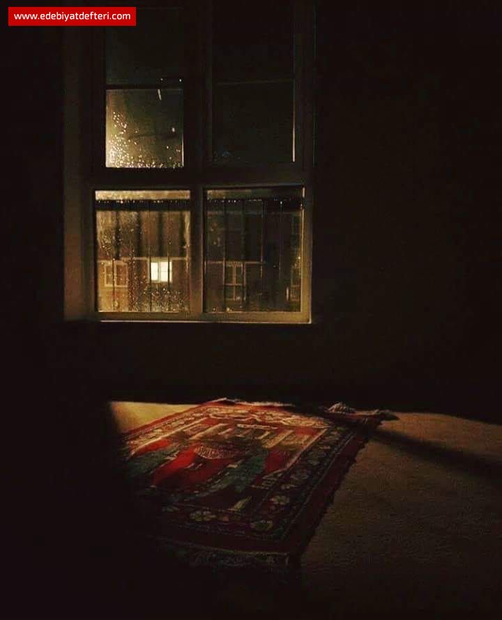 Sonlu bir dünyanın sonsuz misafirleriyiz.