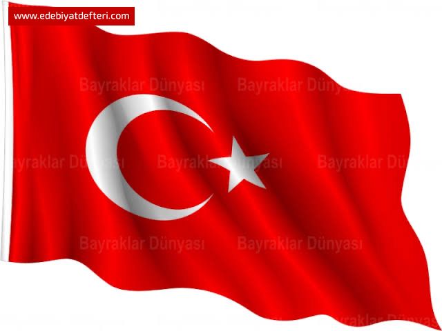 GARİP BİR ŞEYLER OLUYOR