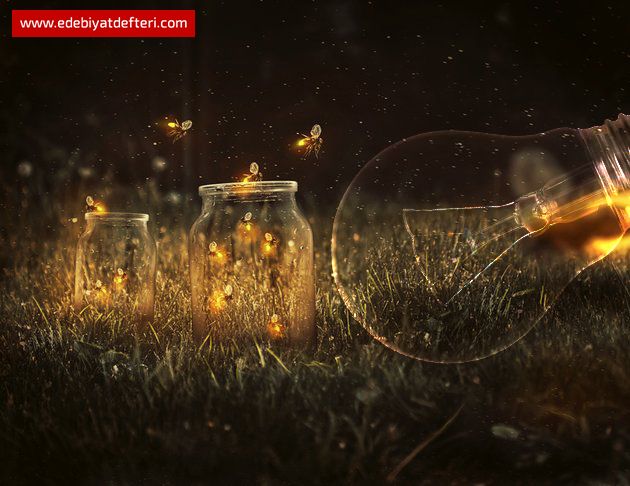 Sen kimsin ki bu yolun yükünü(güzelliğini) istersin?