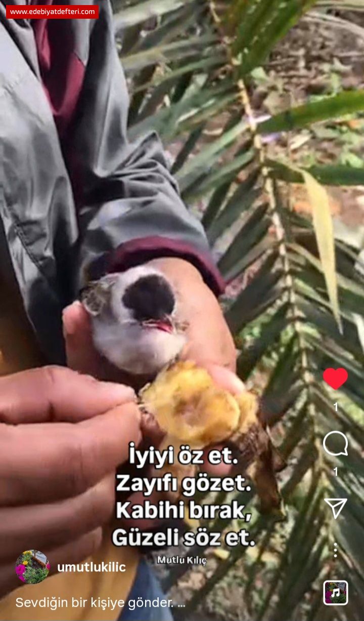 Gzet