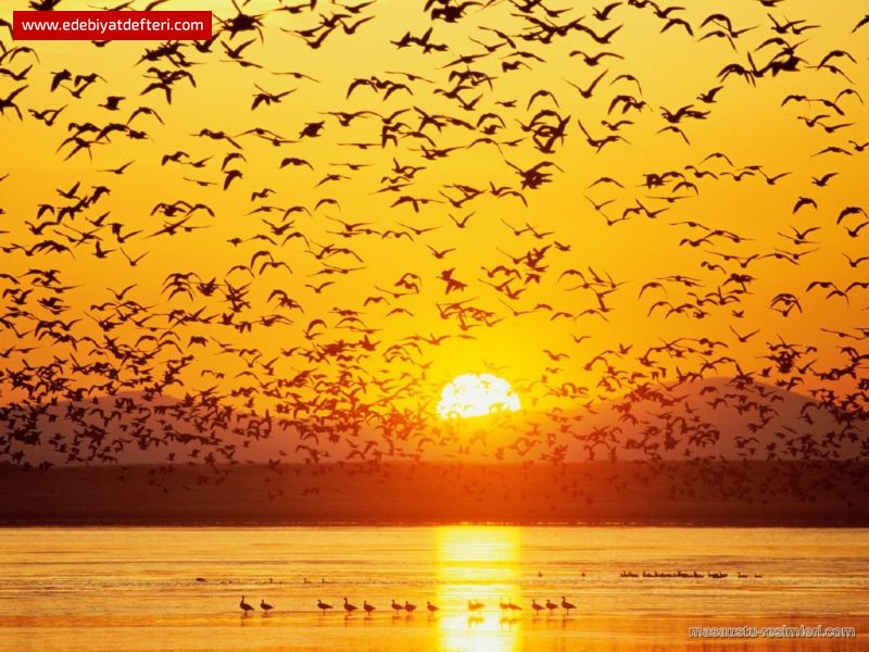 ELBET İLAHİ MERTEBEDİR ARALIKSIZ SAYIKLADIĞIM...