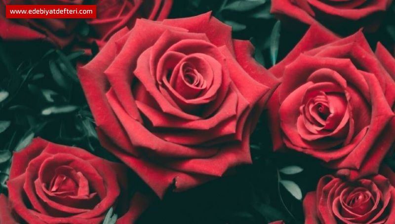 DUDAKLARIMA OTURTTUM ŞARKILARI GÜZ GECELERİNDEN