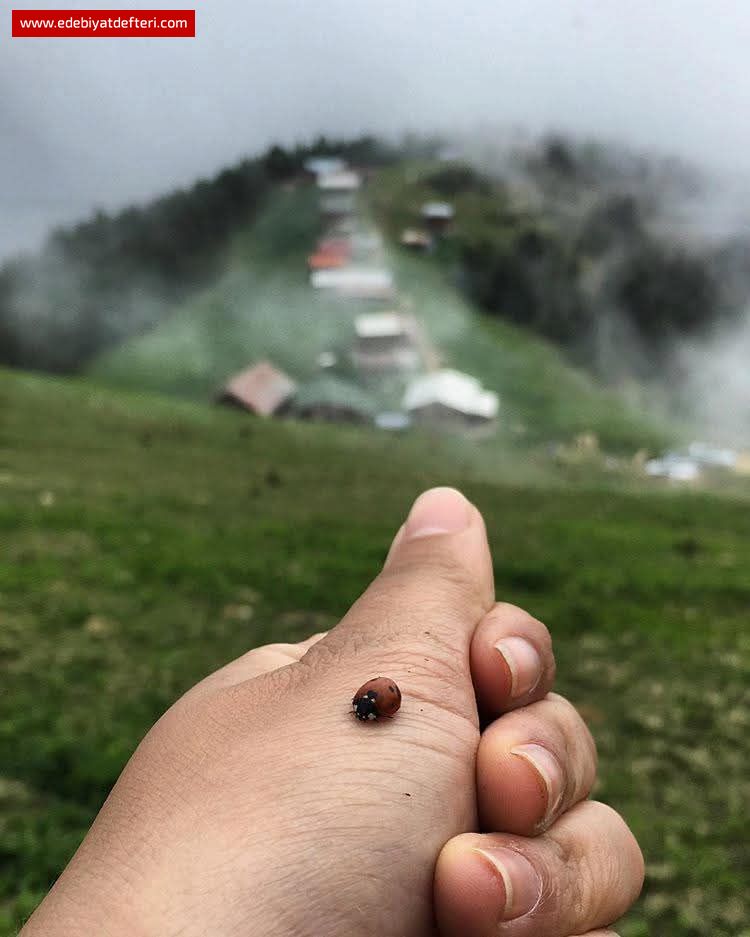 Ne sylesem az ,ne sylesem ok gelir.