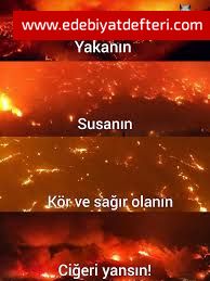 NEDEN ATEŞ TOPUNA DÖNDÜ ORMANLARIMIZ