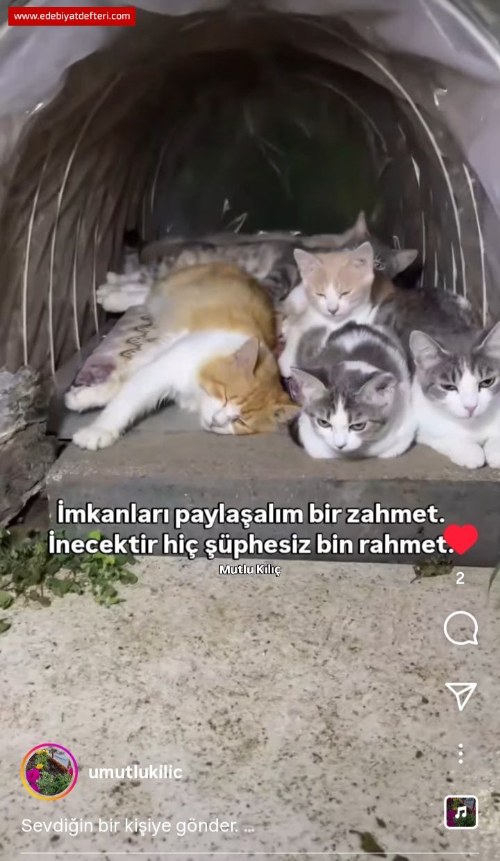 Rahmet