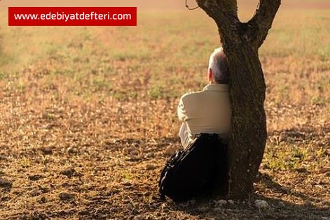 FANİ DÜNYA Bİ GÖLGELİK