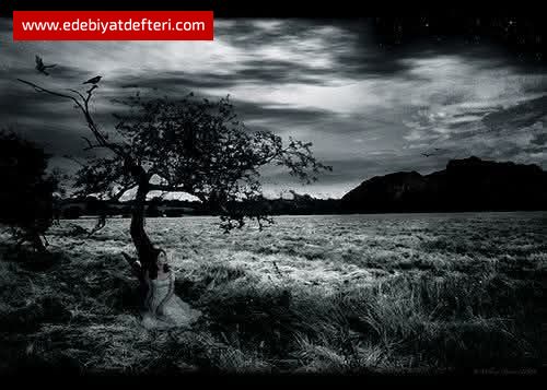 HİÇ SEVMEDİM Kİ SENİ